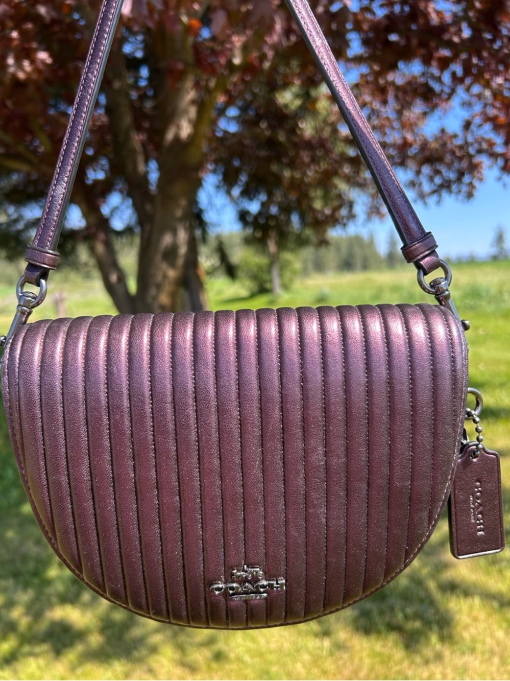 COACH Ellen Crossbody Nappa Leather w/ Linear Quilting - Picture 5 of 13